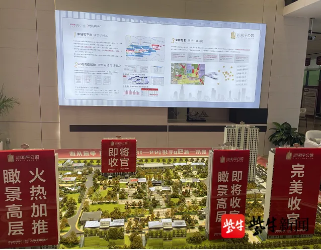 项目集中交付现场